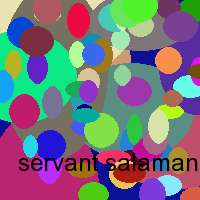 servant salamander 2.5 rc2 crack